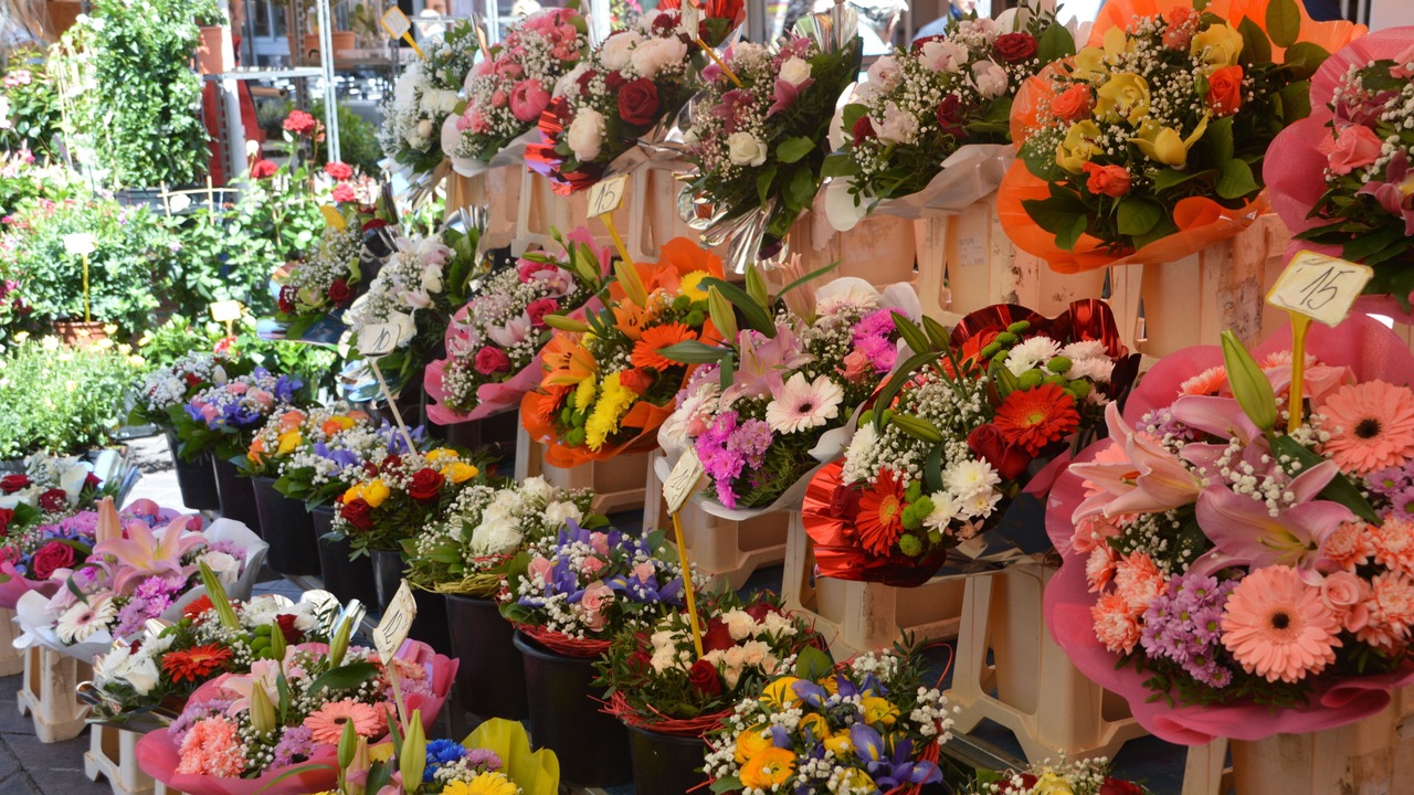 Photo of Outdoor in Lazaret