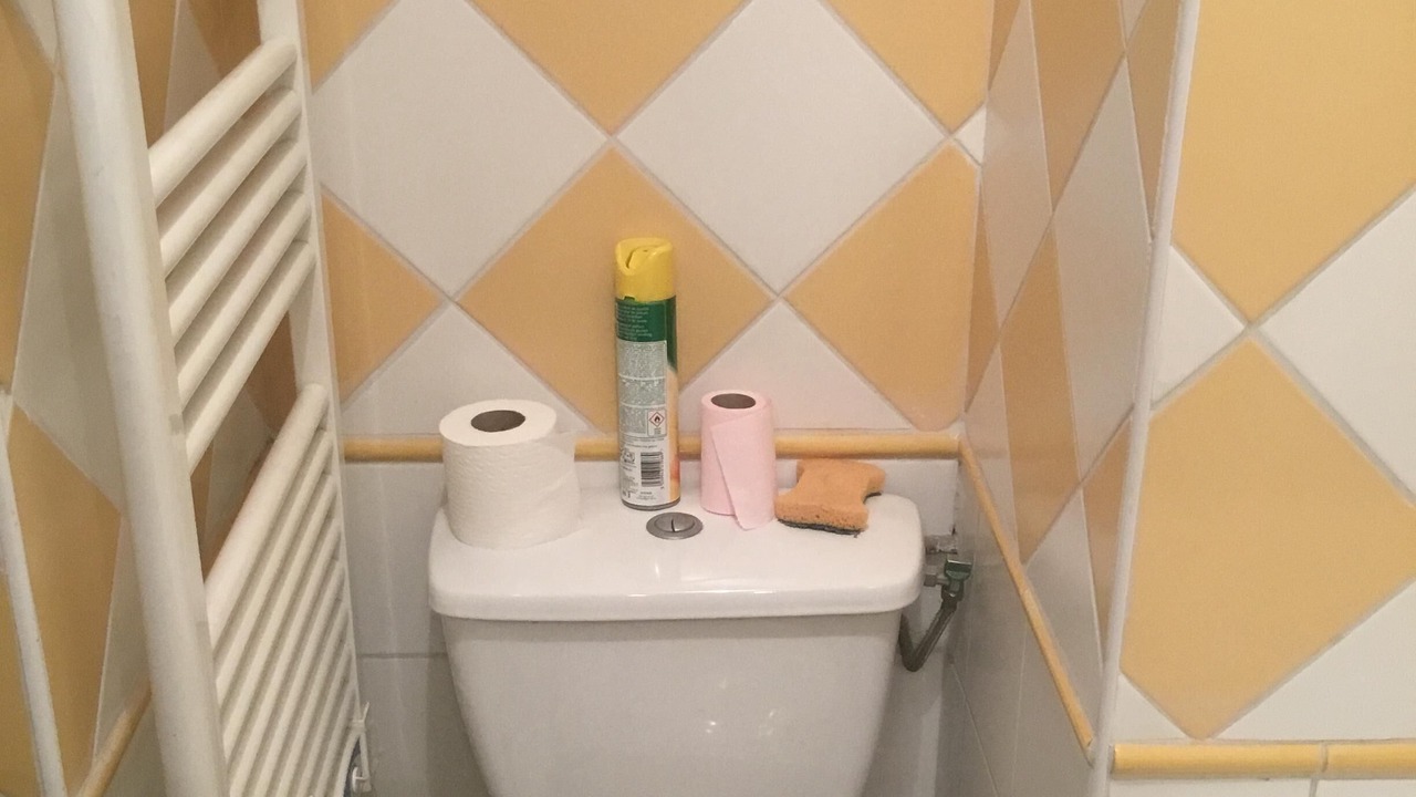 Photo of Bathroom in Praz-sur-Arly