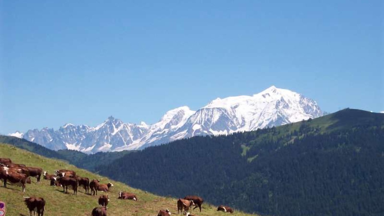 Photo of Outdoor in Praz-sur-Arly