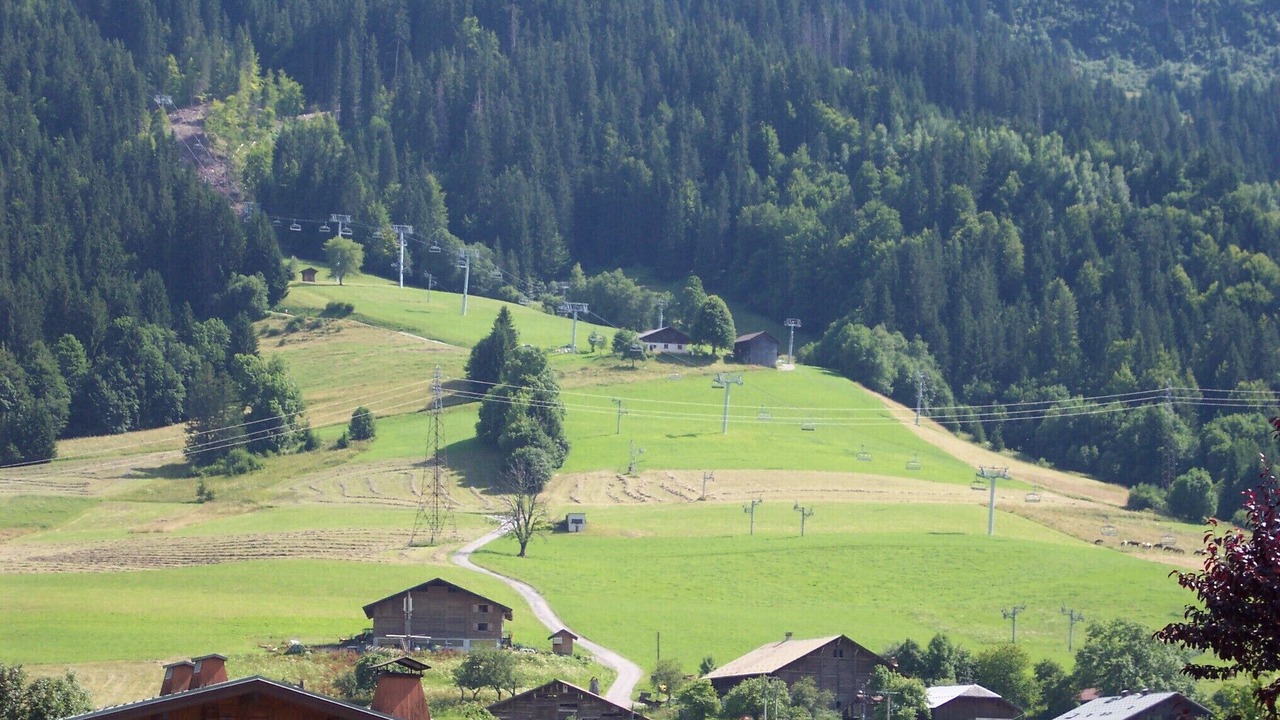 Photo of Others in Praz-sur-Arly