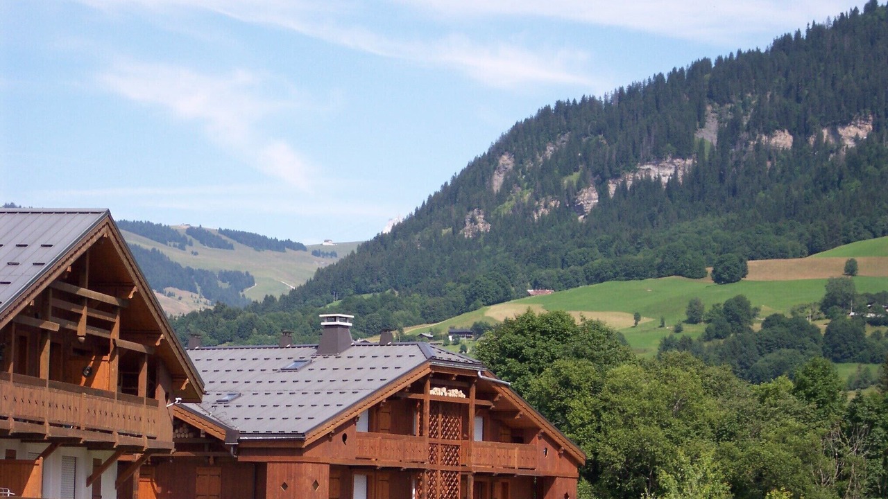 Photo of Outdoor in Praz-sur-Arly