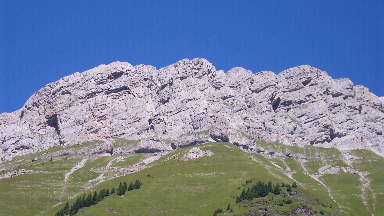 Photo of Others in Praz-sur-Arly