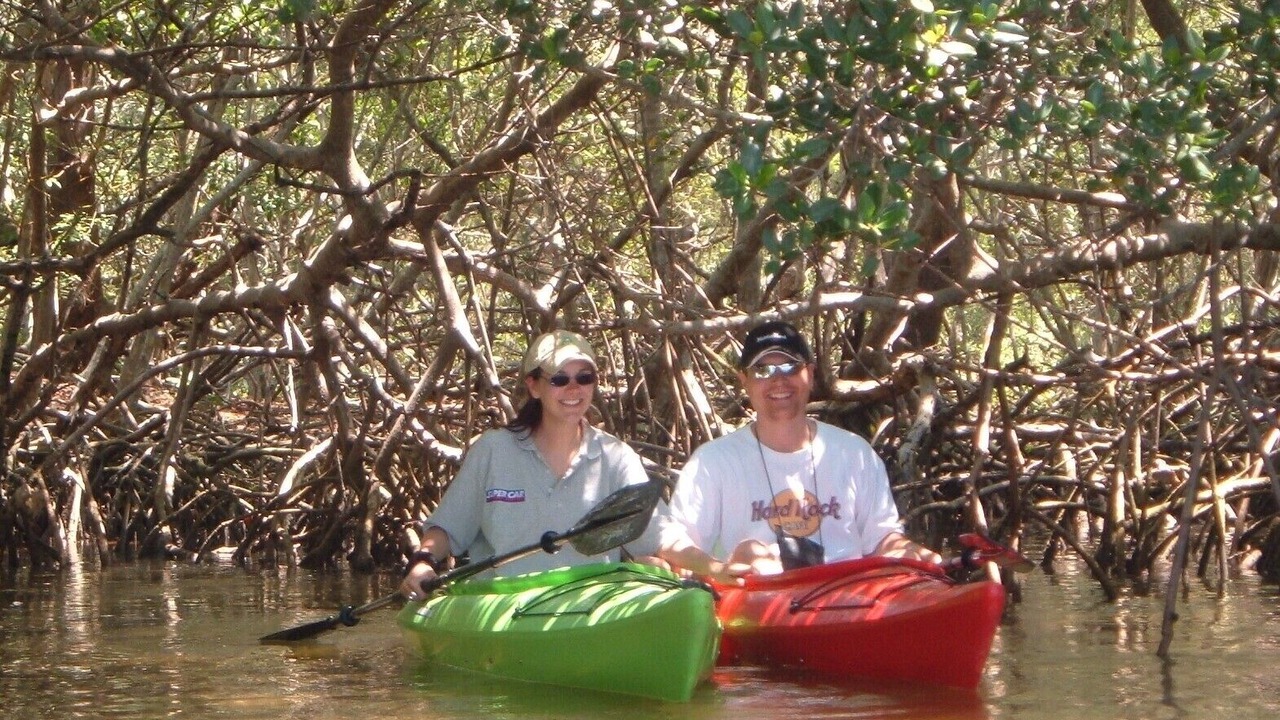 Photo of Others in Alta Vista