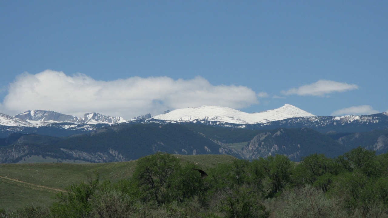 Photo of Others in Buffalo