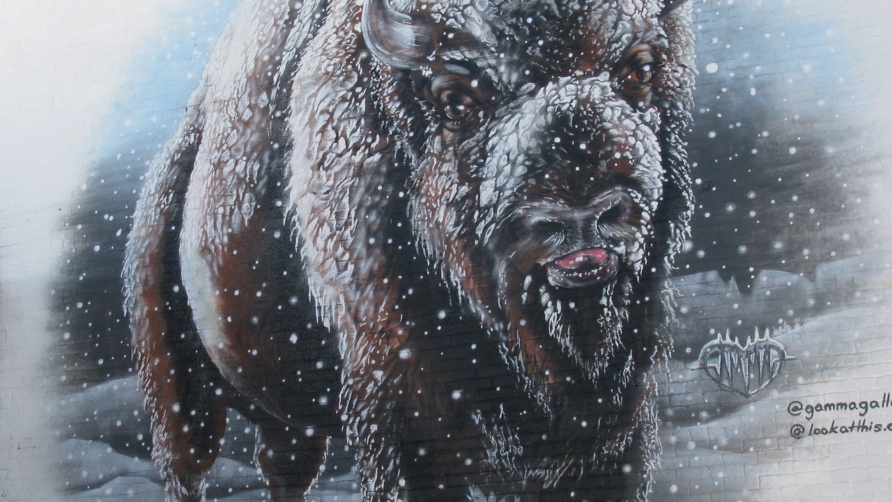 Photo of Others in Buffalo