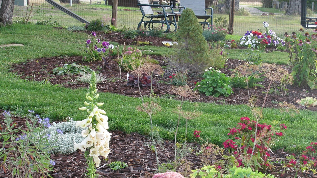 Photo of Outdoor in Buffalo