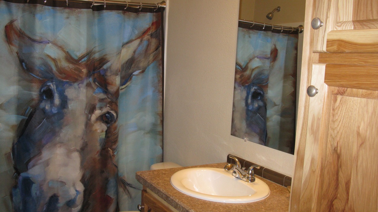 Photo of Bathroom in Buffalo