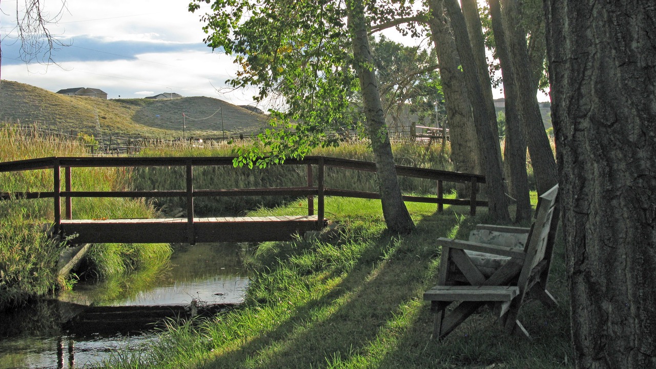 Photo of Others in Buffalo