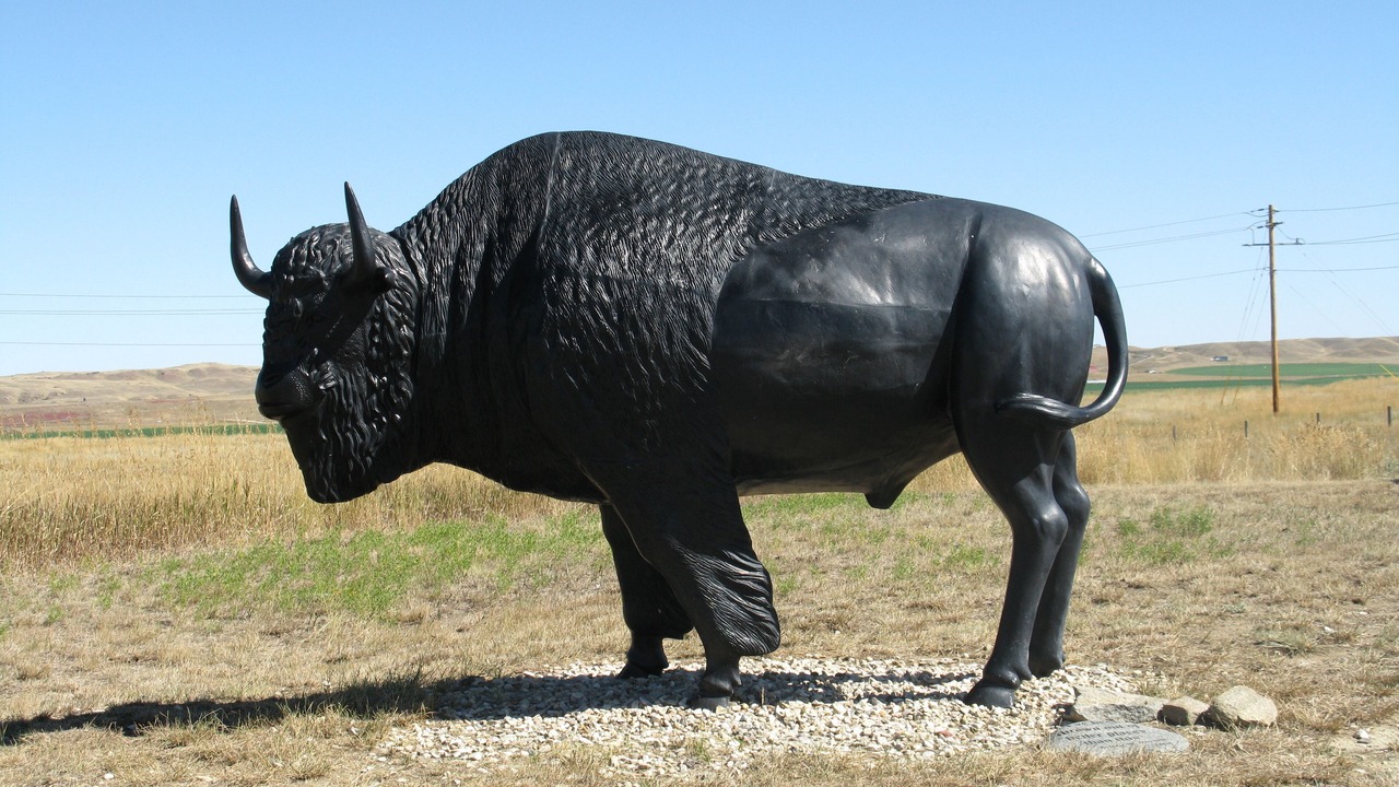 Photo of Others in Buffalo