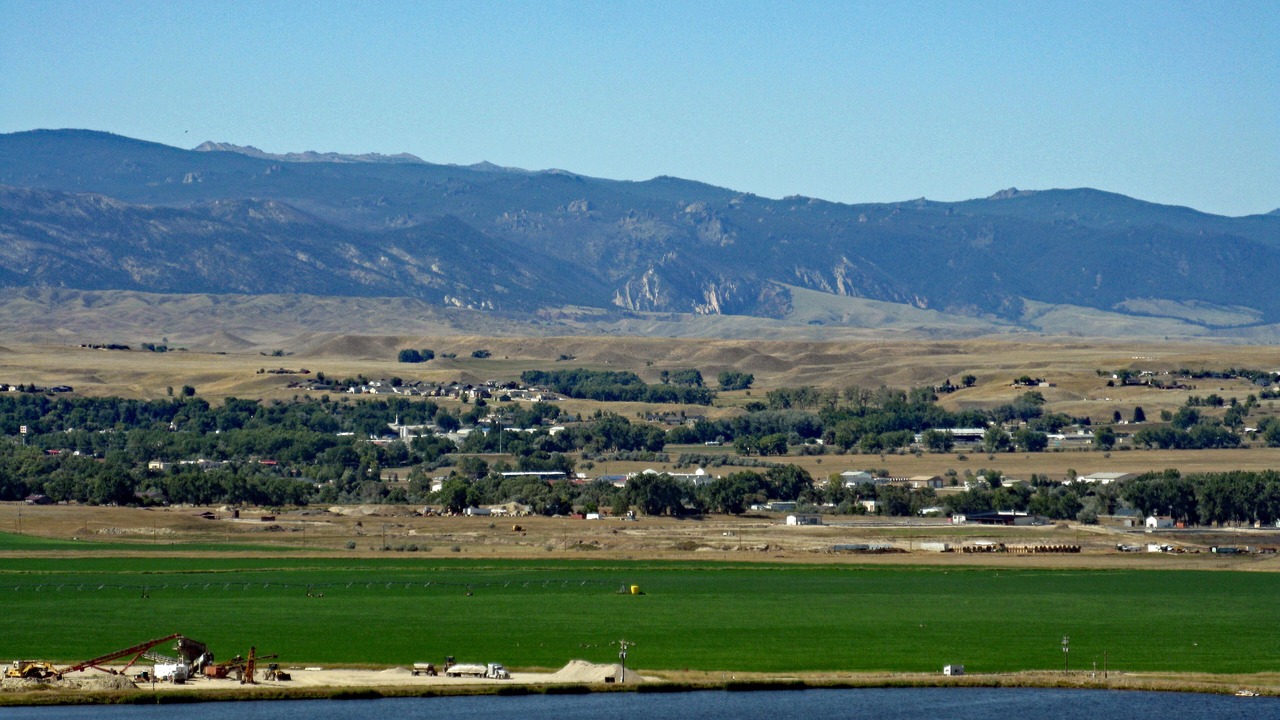 Photo of Others in Buffalo