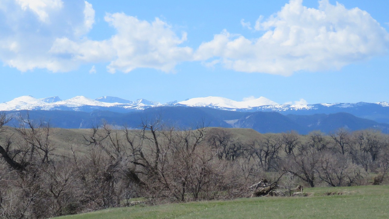 Photo of Others in Buffalo