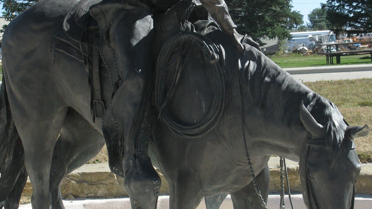 Photo of Others in Buffalo