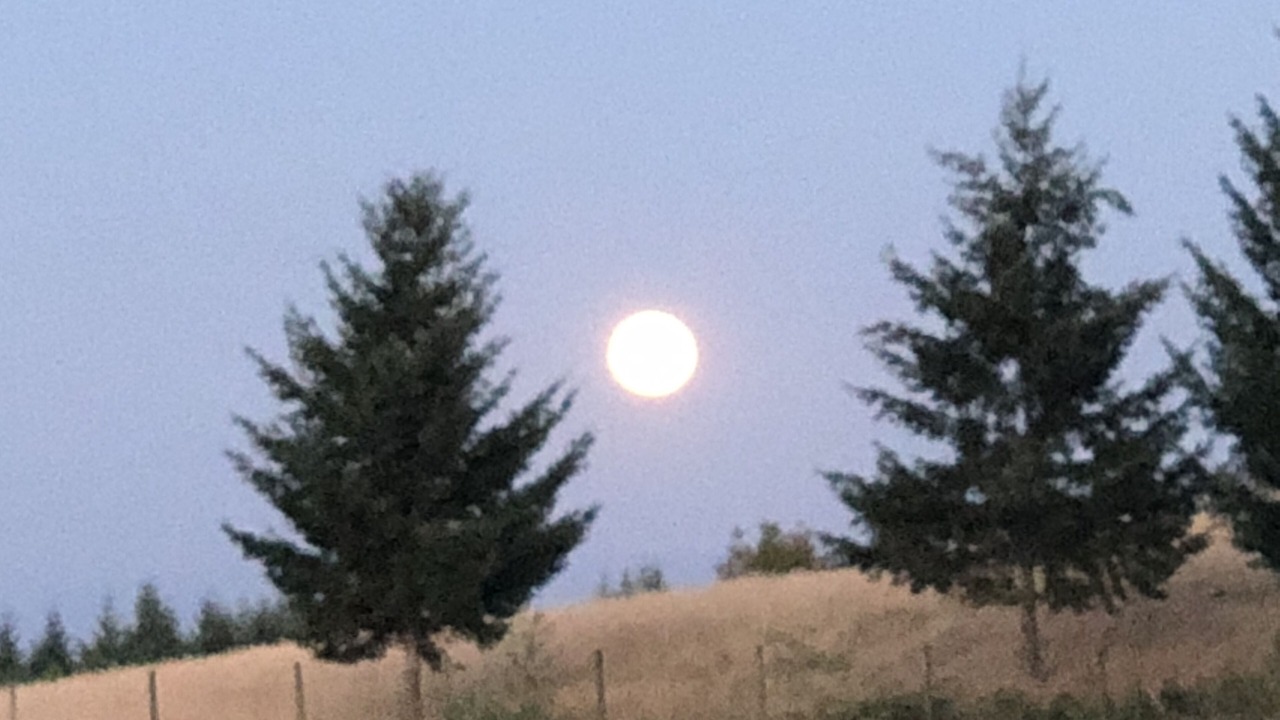 Photo of Others in Cornelius