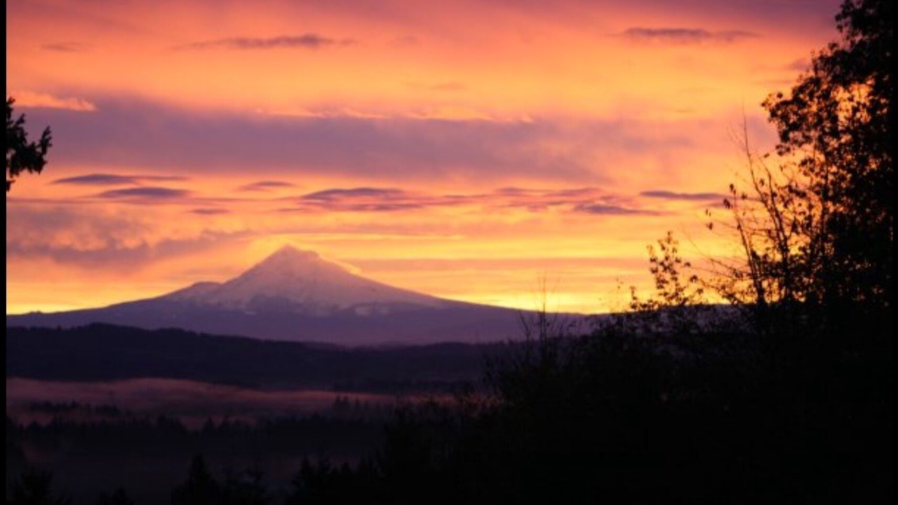 Photo of Others in Cornelius