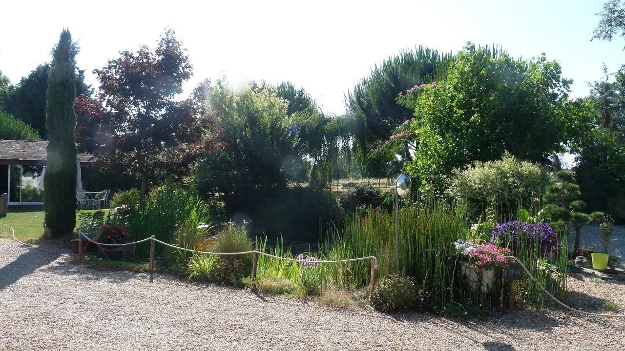 Photo of Outdoor in Chateau du Loir