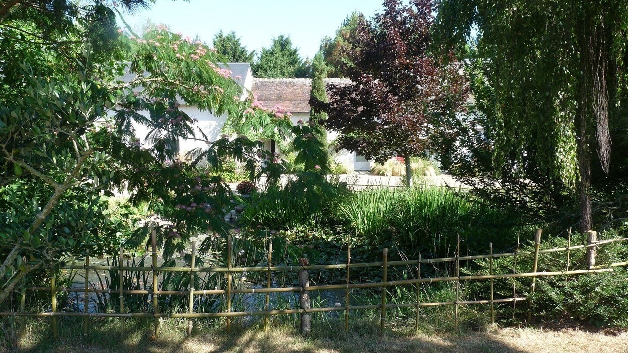 Photo of Outdoor in Chateau du Loir