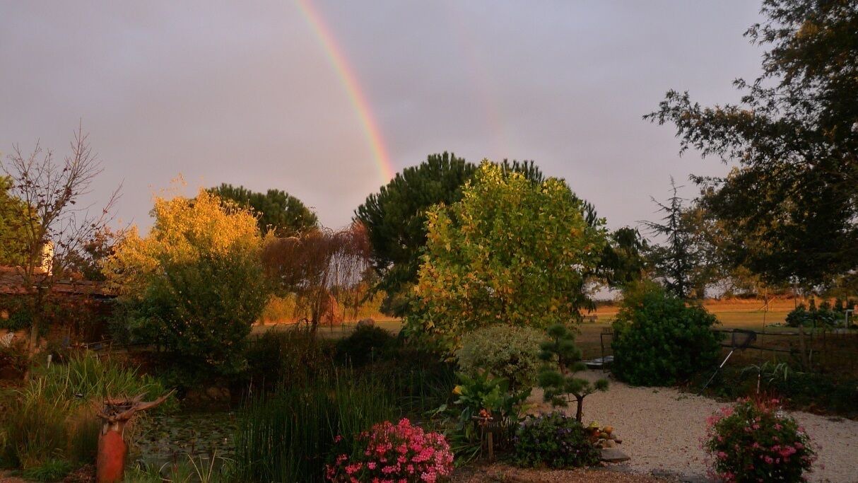 Photo of Outdoor in Chateau du Loir