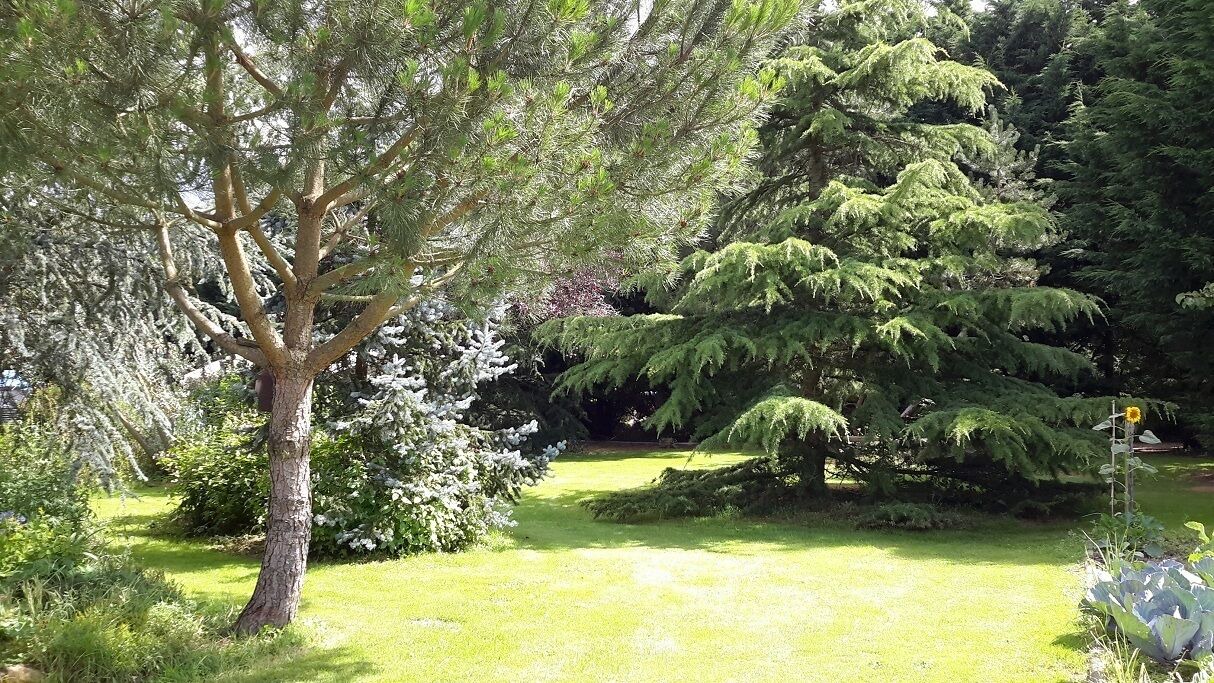 Photo of Outdoor in Chateau du Loir