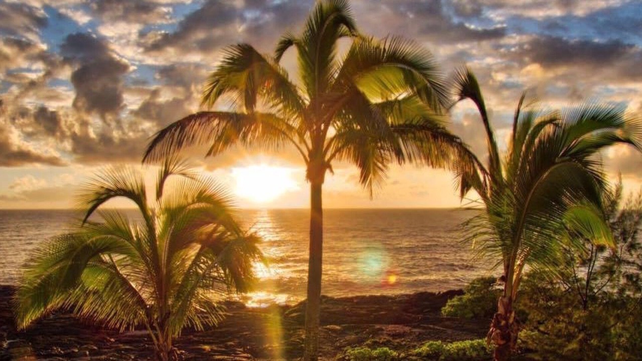 Photo of Others in Keaau