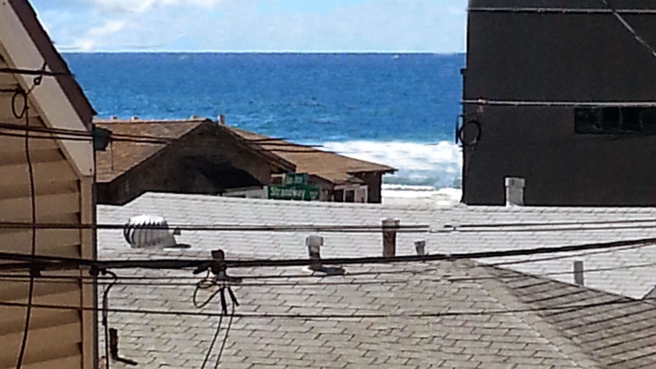 Photo of Others in Mission Beach