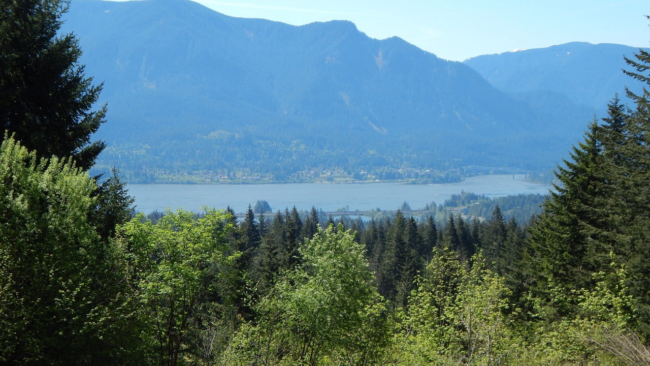 Photo of Outdoor in Stevenson