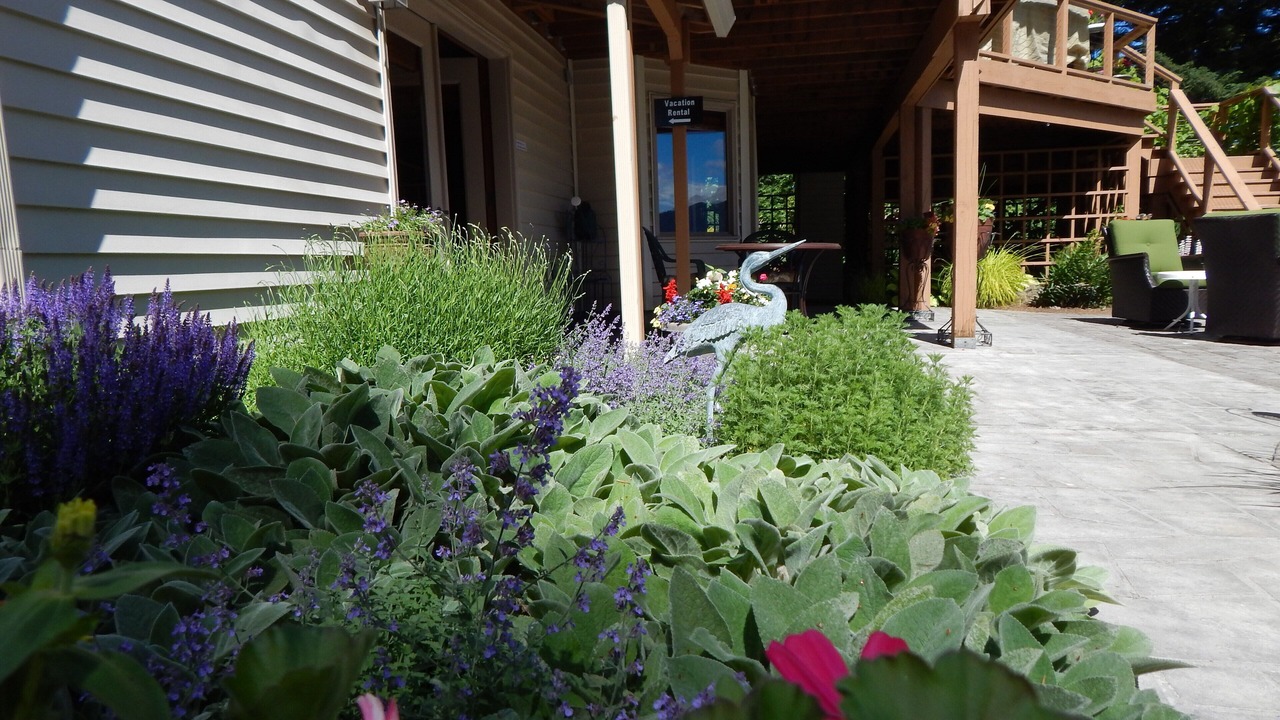 Photo of Outdoor in Stevenson