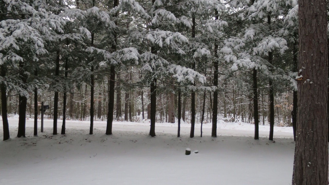 Photo of Outdoor in Jay