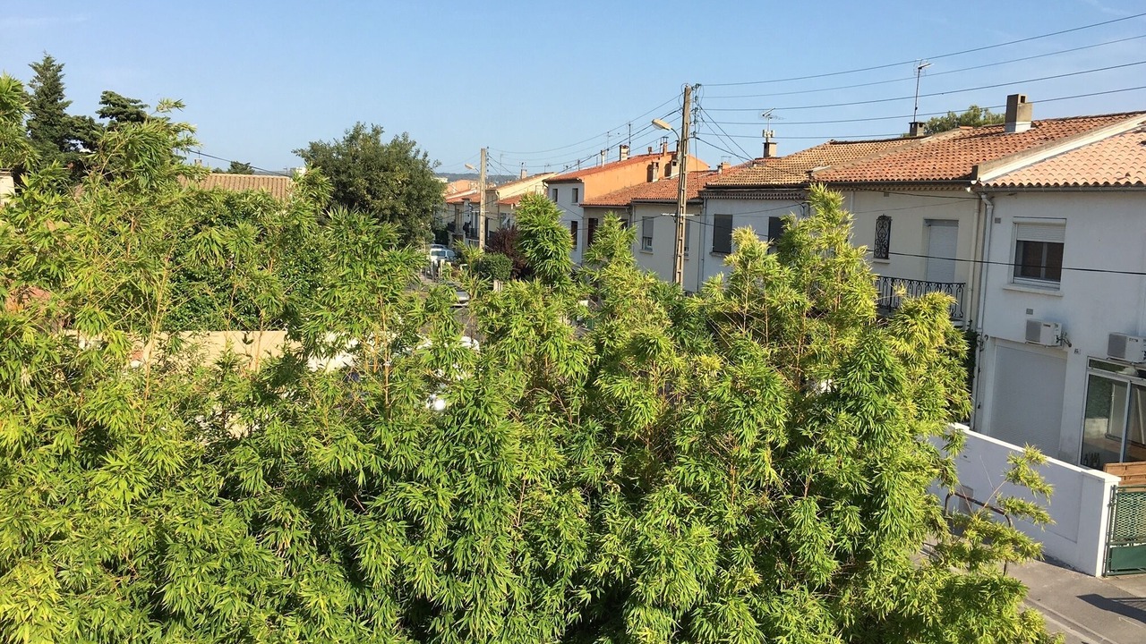 Photo of Outdoor in Razimbaud