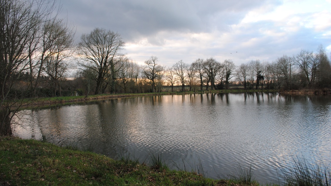 Photo of Outdoor in La Boissiere-des-Landes
