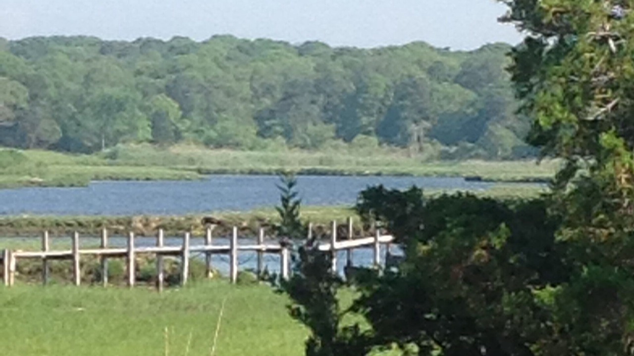 Photo of Outdoor in Centerville