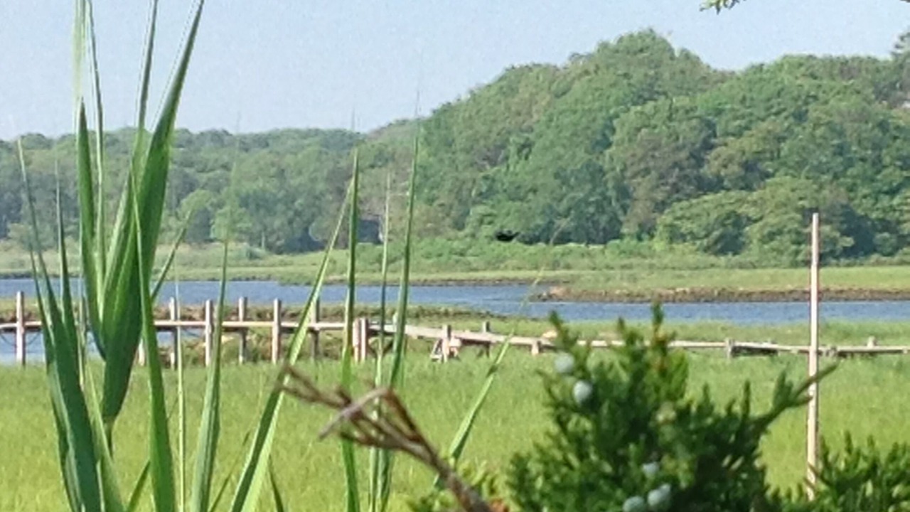 Photo of Outdoor in Centerville