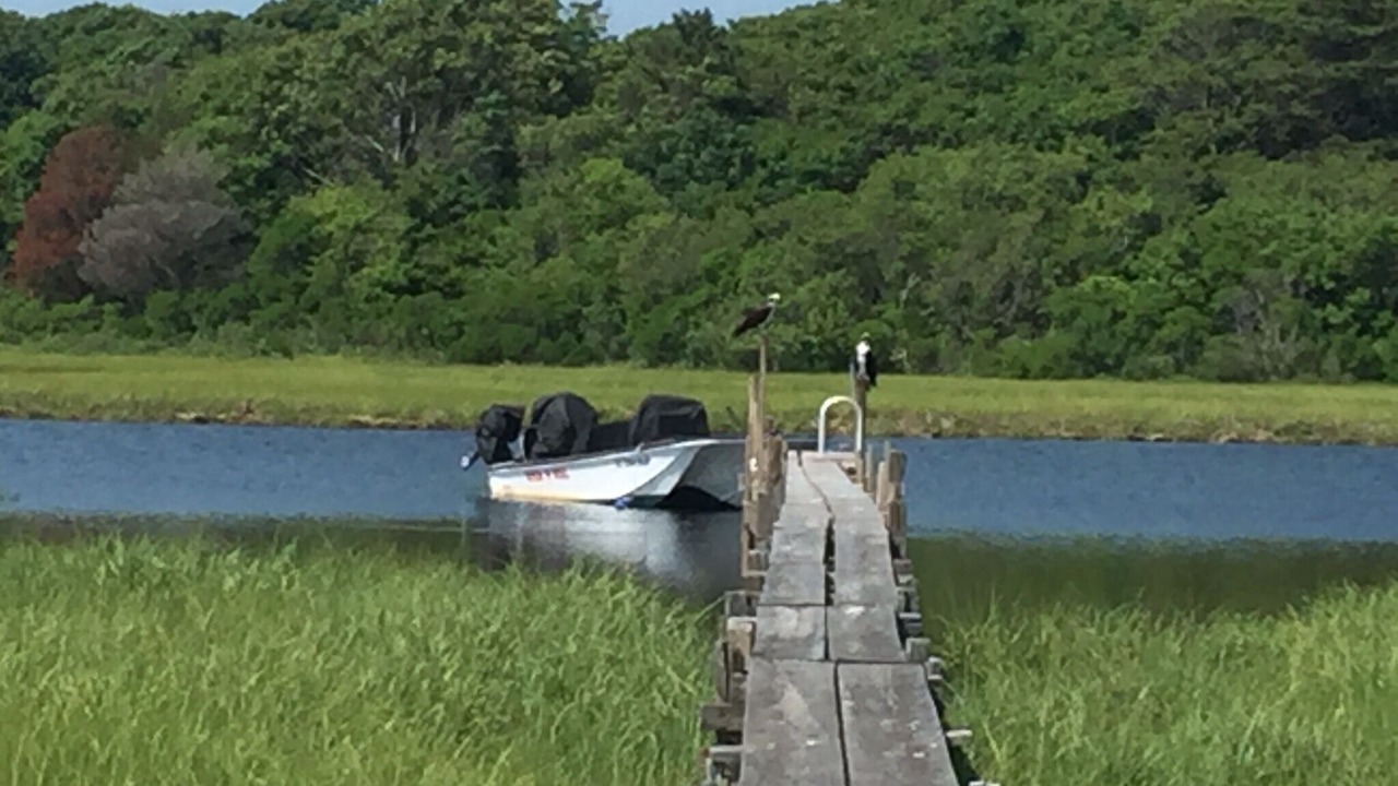 Photo of Others in Centerville