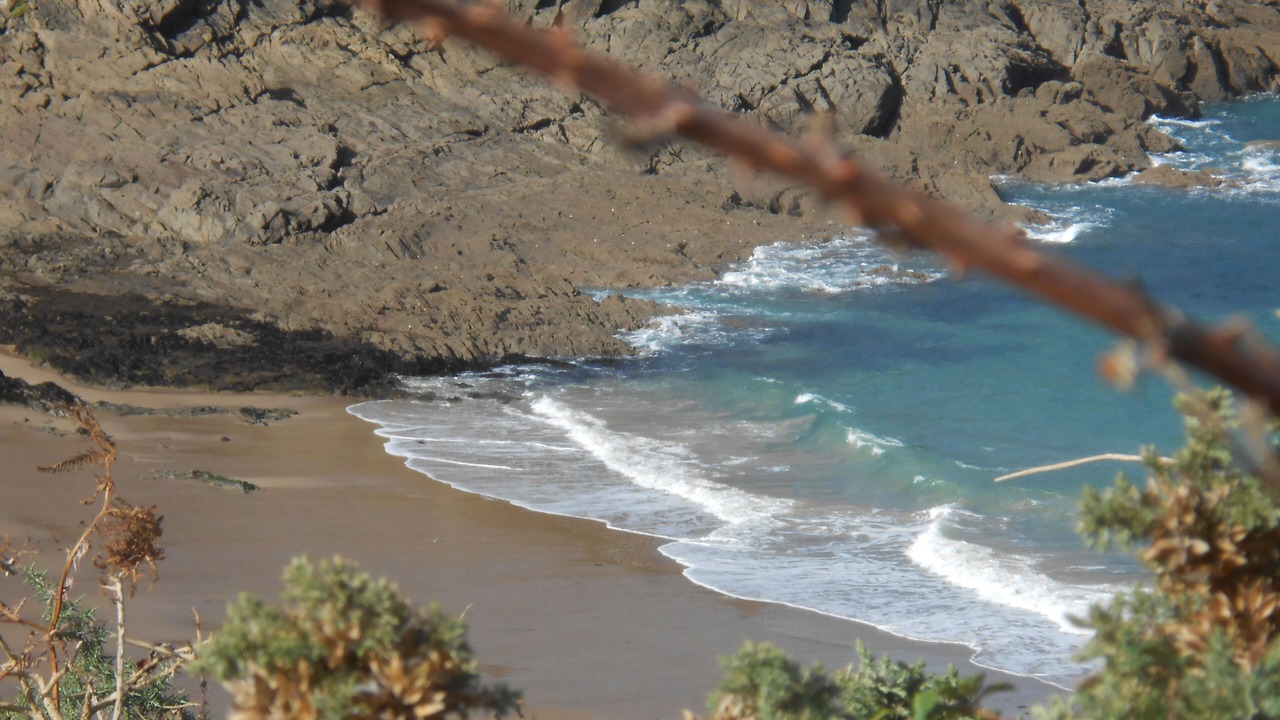 Photo of Others in Cancale