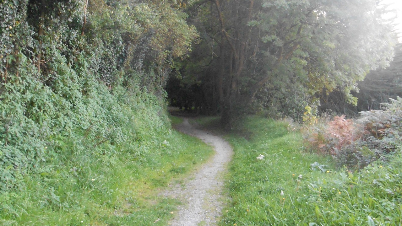 Photo of Outdoor in Cancale