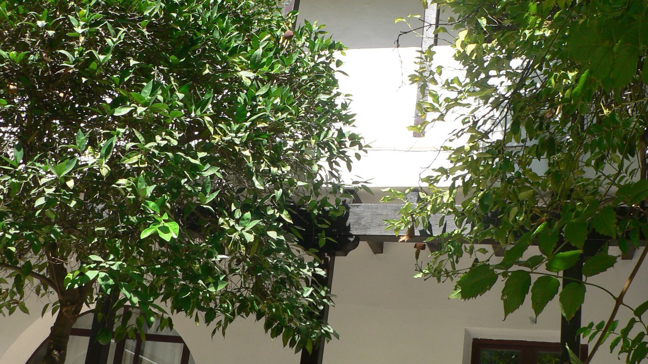Photo of Outdoor in Santa Marina