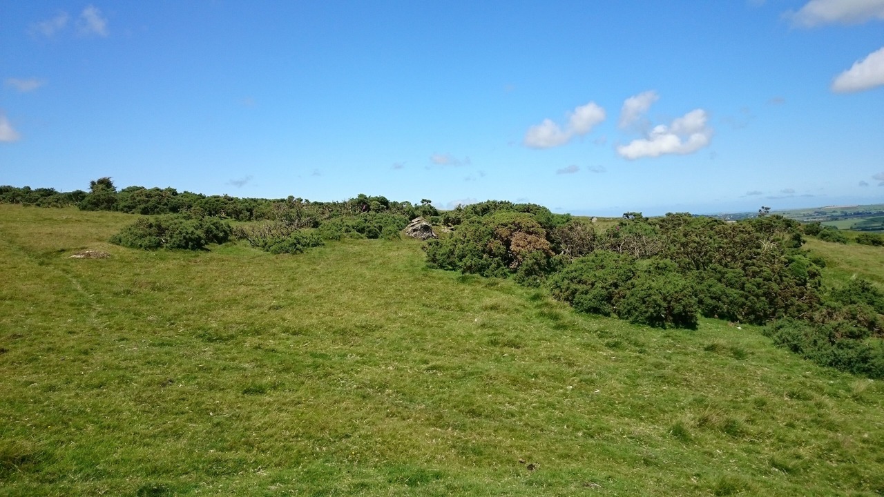 Photo of Others in Crymych