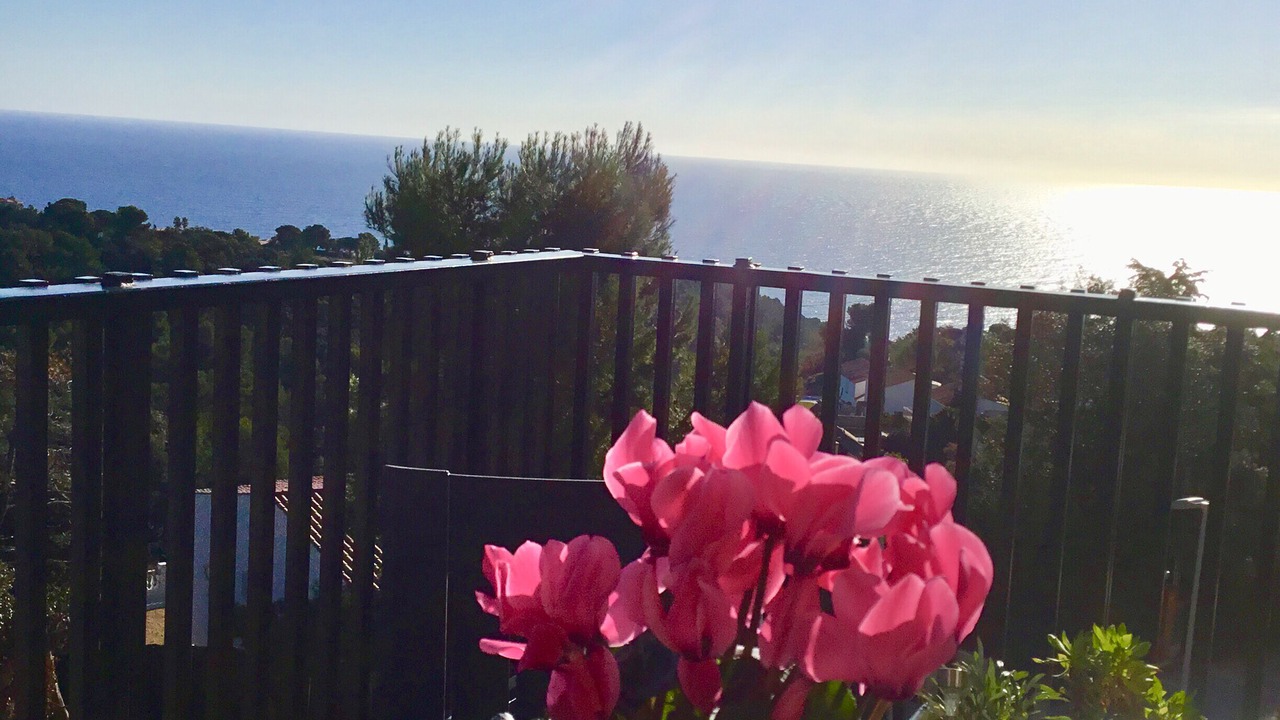 Photo of Outdoor in Canyelles