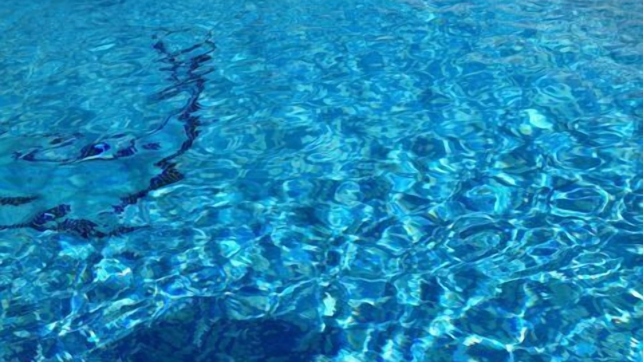 Photo of Outdoor in Los Altos