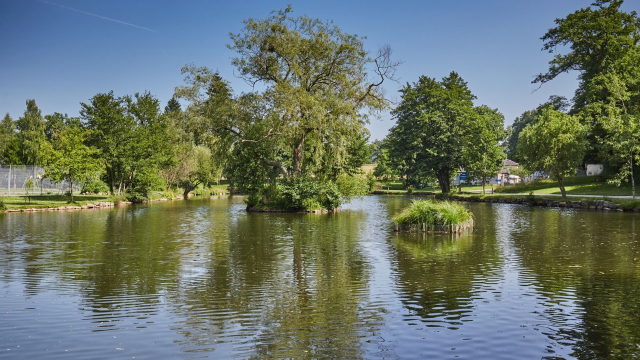 Photo of Outdoor in Rignac