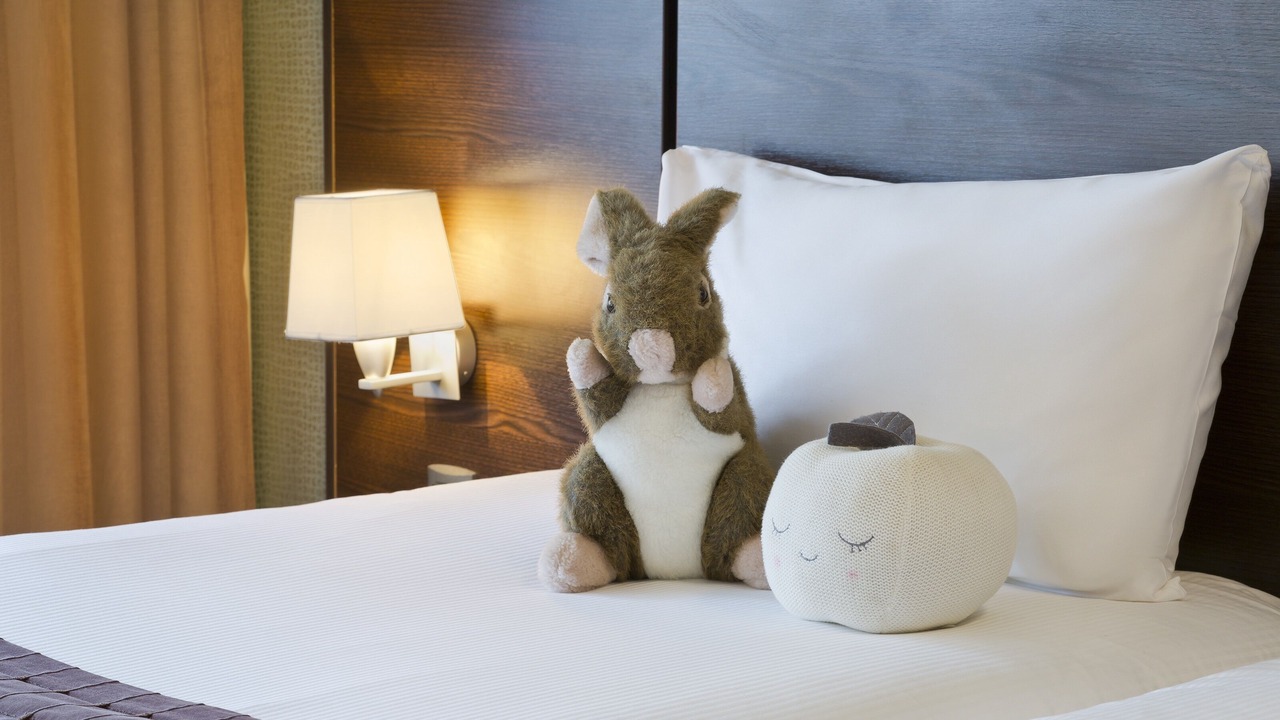 Photo of Bedroom in Ferney-Voltaire