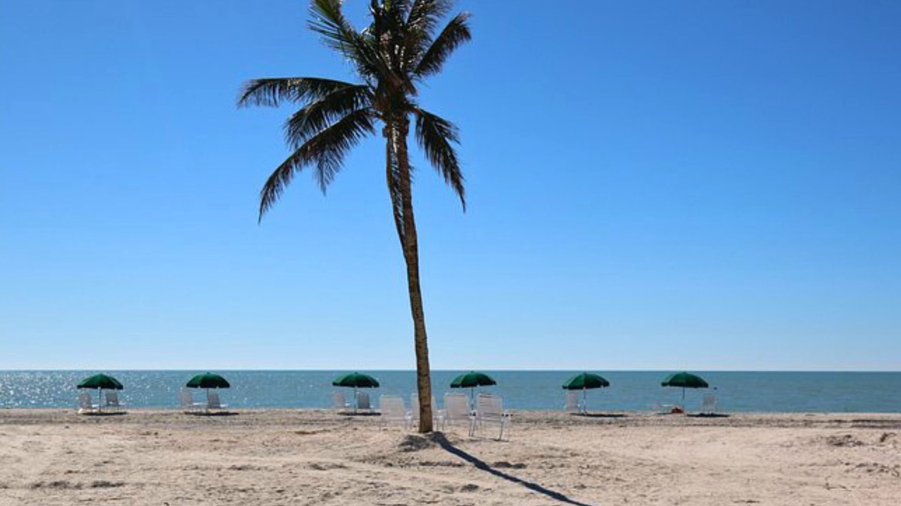 Photo of Others in Sanibel