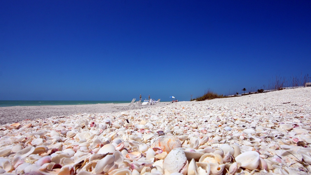 Photo of Others in Sanibel