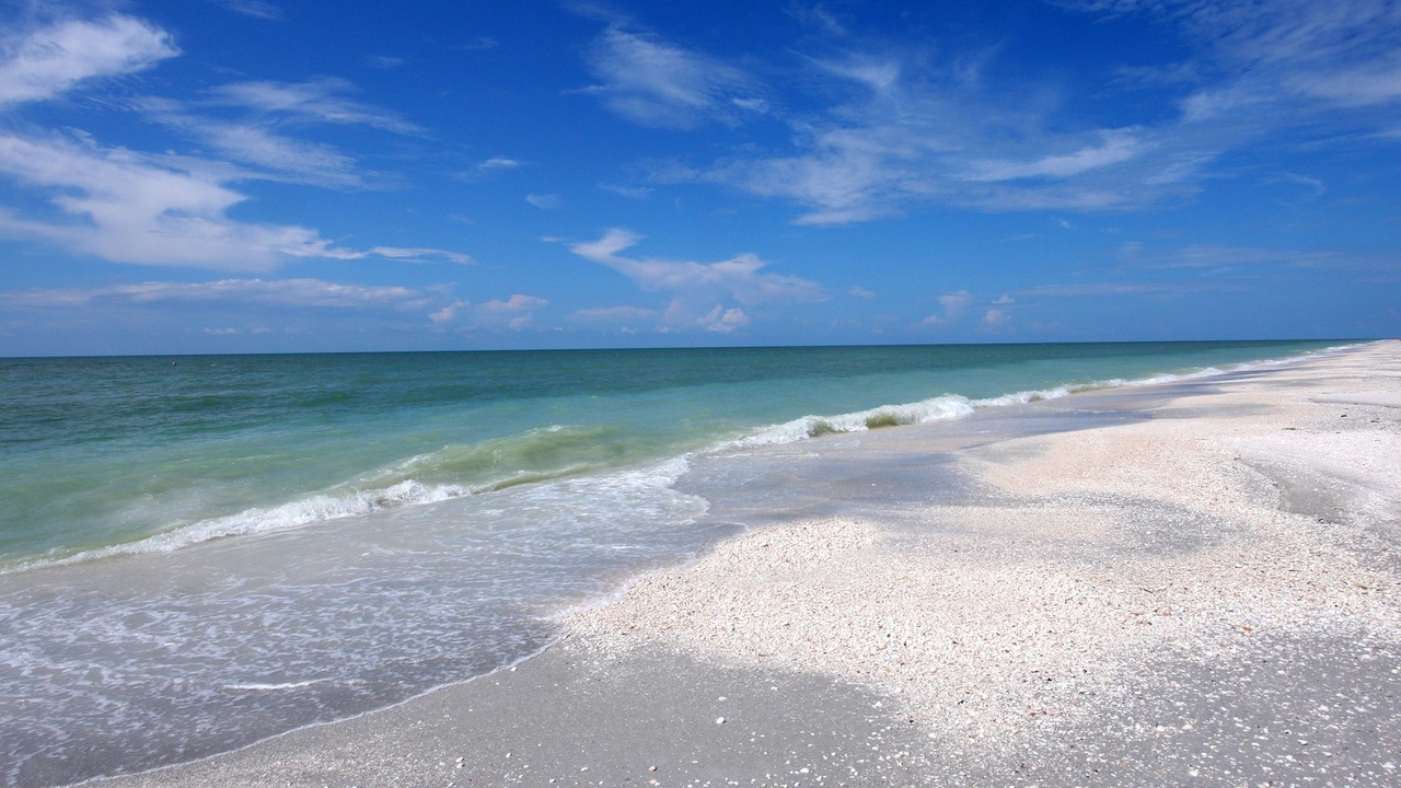 Photo of Others in Sanibel