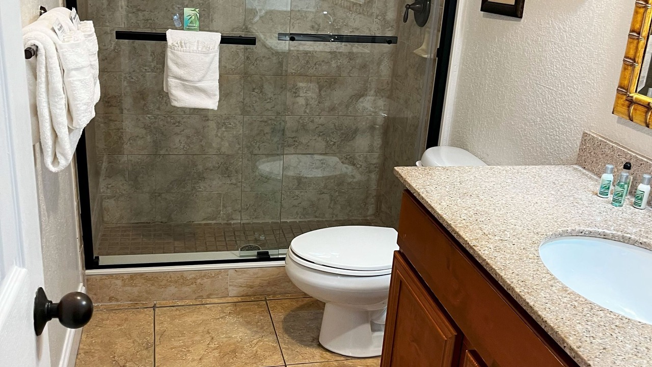 Photo of Bathroom in Dunedin