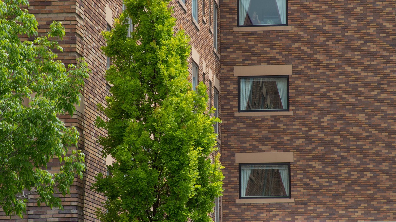 Photo of Outdoor in Downtown Salt Lake City