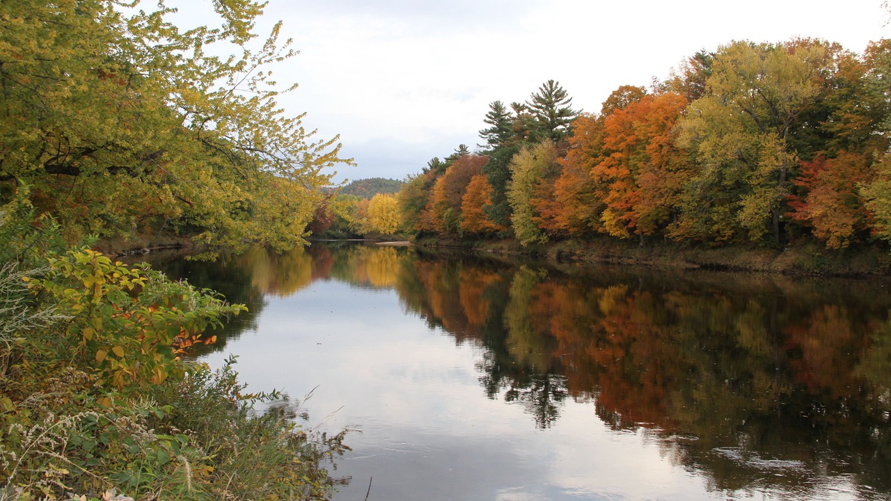 Photo of Others in Plymouth