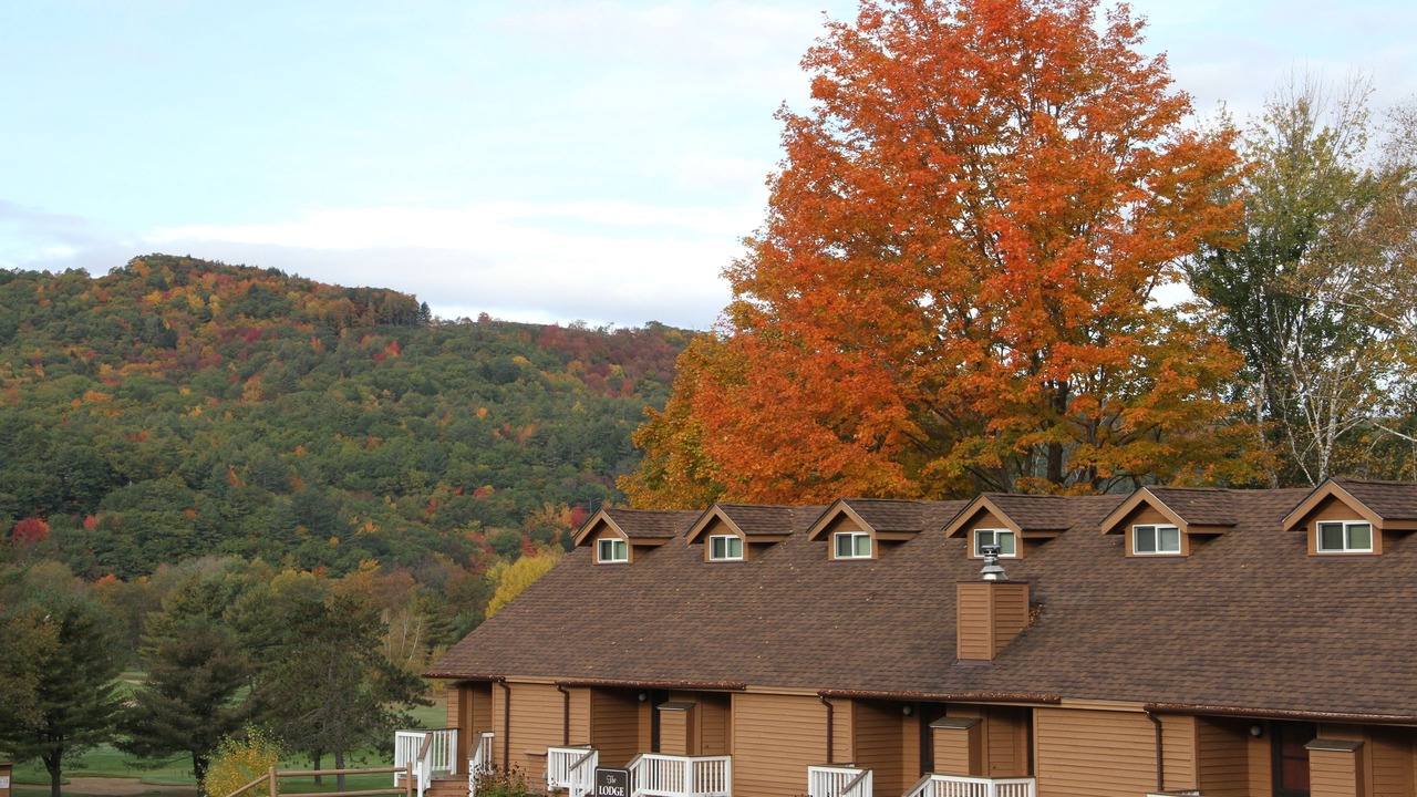 Photo of Outdoor in Plymouth