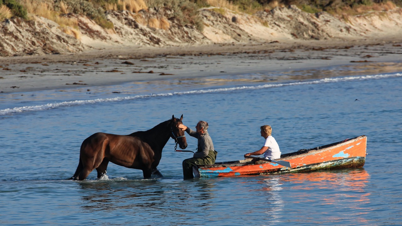 Photo of Others in Warrnambool