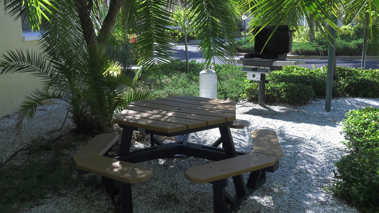 Photo of Outdoor in Indian Shores