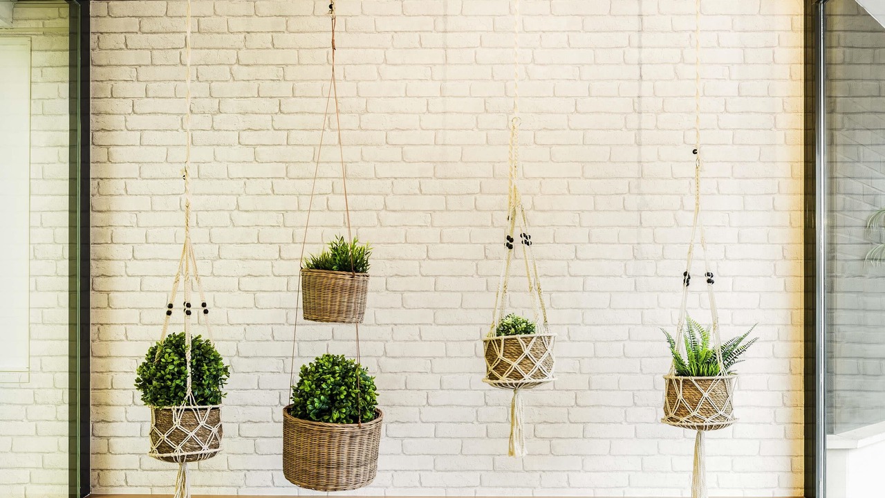 Photo of Others in Vanves